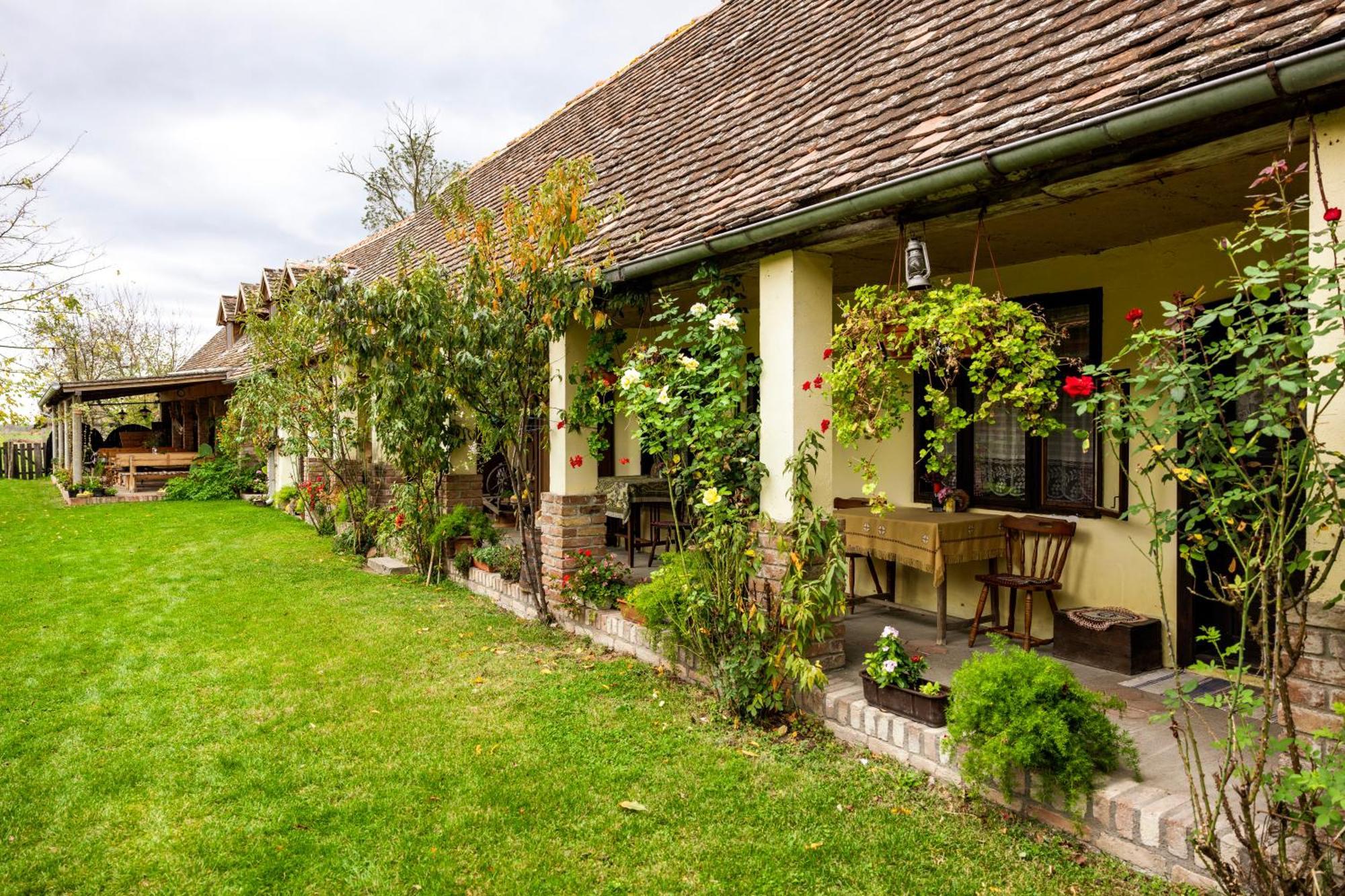 Snasini Kucari Bed & Breakfast Gradiste Luaran gambar