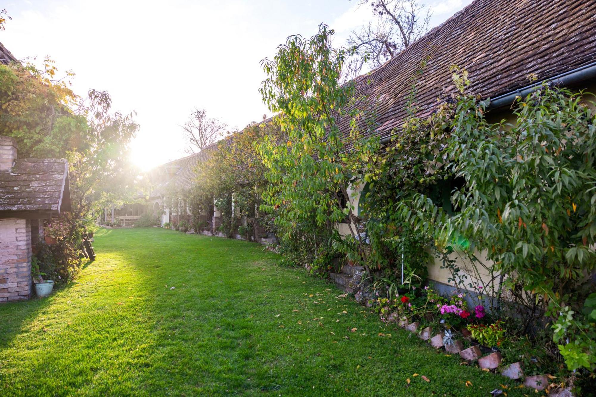 Snasini Kucari Bed & Breakfast Gradiste Luaran gambar